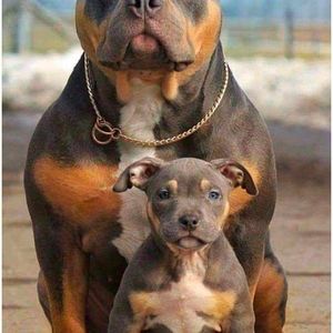 Meet your Posher, Arturo